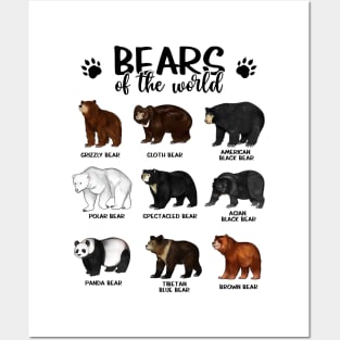 Bears of the world - Bears Posters and Art